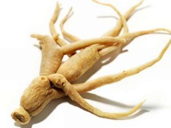 Racine de ginseng
